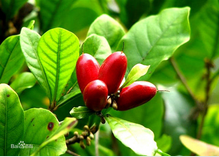 2016年農業補貼大全 農業人必讀！