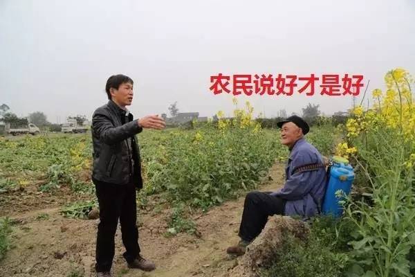 大浪淘沙，農資店該如何立足？